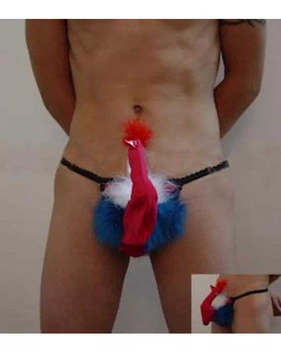 Peacock Panty