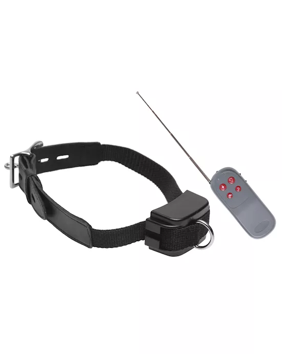Jolt Electro Puppy Trainer Shock Collar