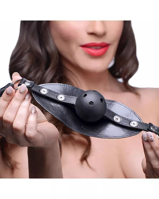 Breathable Ball Gag with Removable Cover