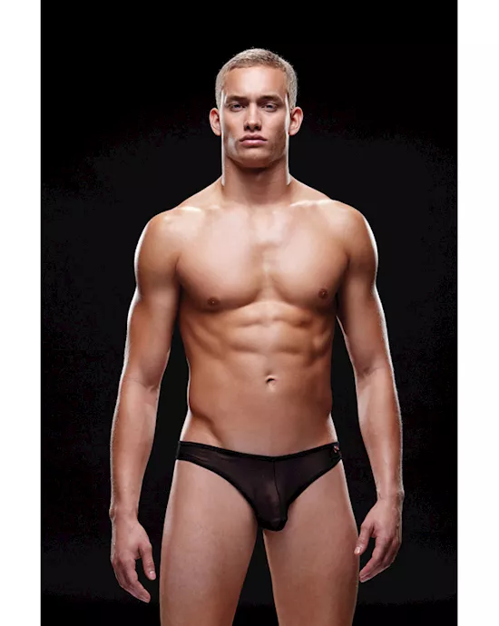 Envy Mesh Brief S M