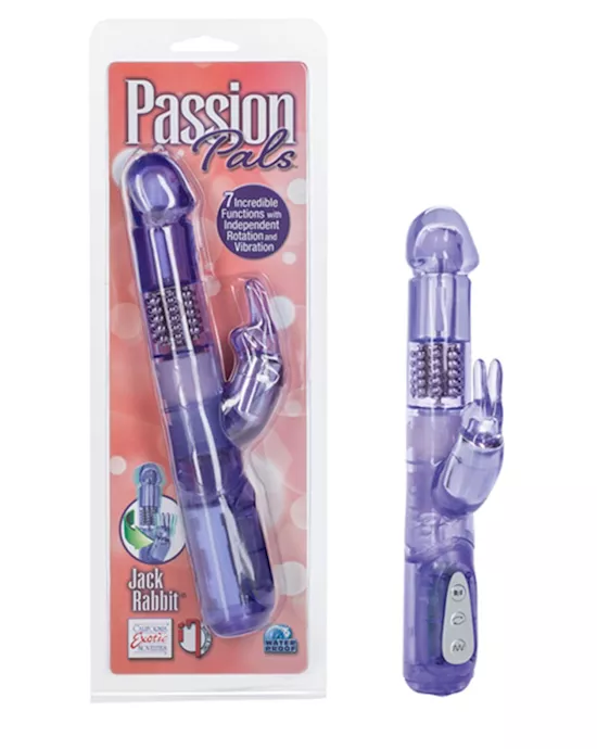 Passion Pals Jack Rabbit
