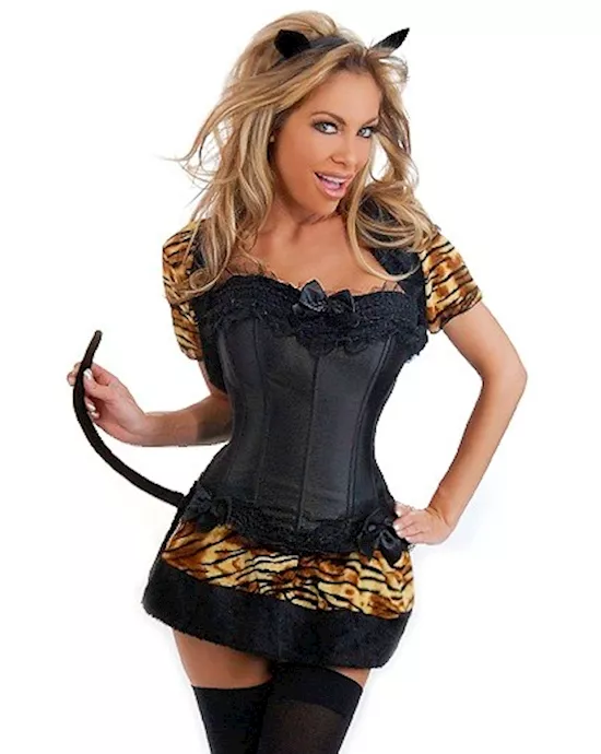 4 pc sexy cat costume