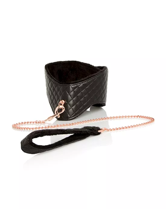 Entice Posture Collar with Leash
