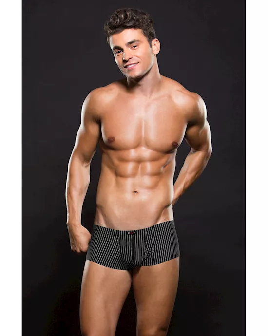 Envy Microfiber Trunk L XL  PinStripe