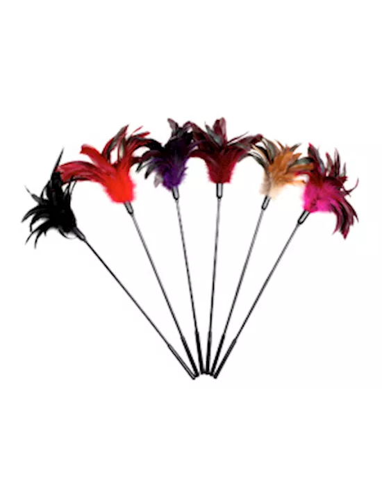Starburst Tickler Combination 6 Assorted