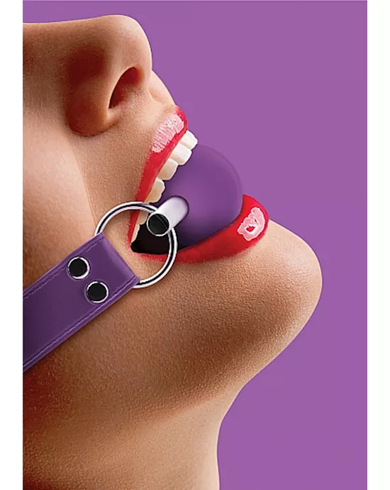 Solid Ball Gag