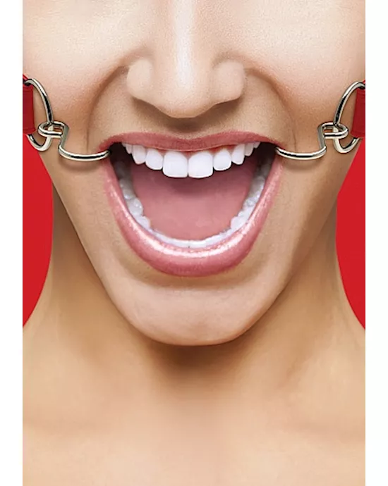 Hook Gag