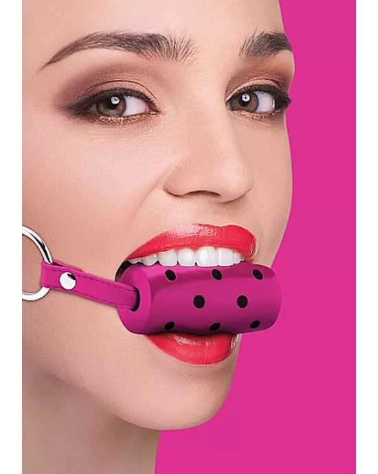 Cylinder Gag