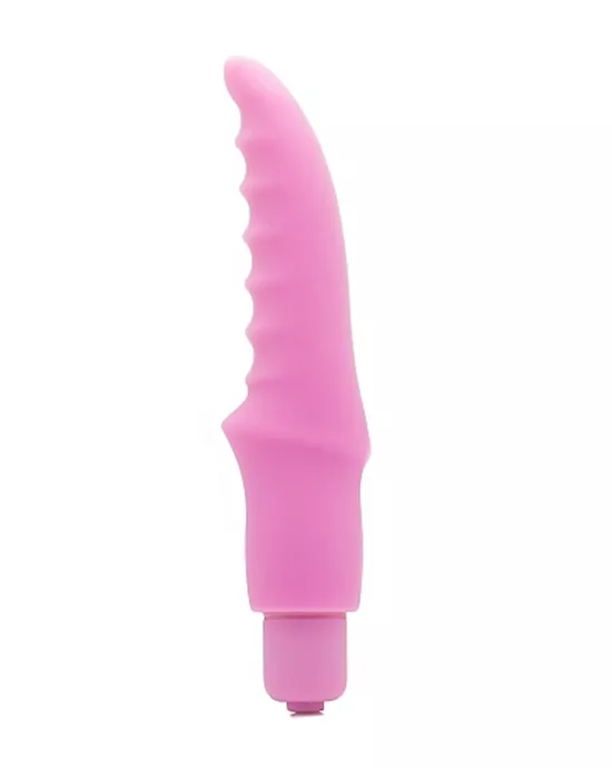 Scallop Bullet Pink
