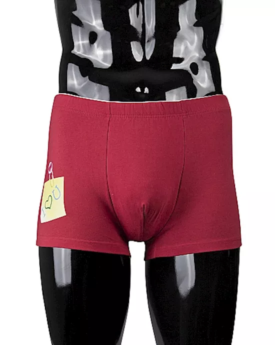 Funny Boxers I Love You