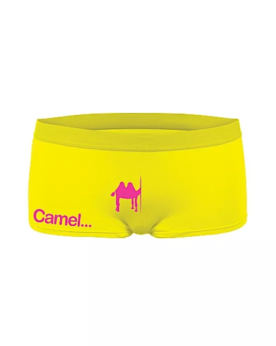 Funny Hipster Camel