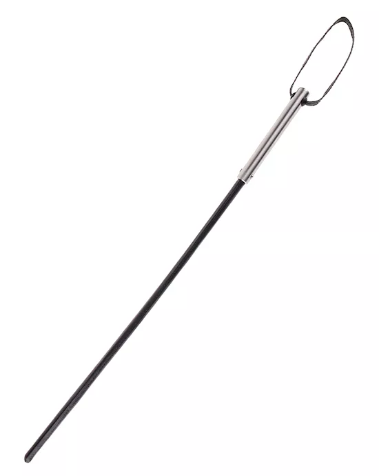 Fetish Fantasy Extreme Insane Cane