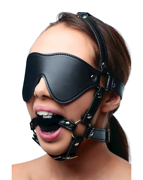 Strict Eye Mask Harness With Ball Gag
