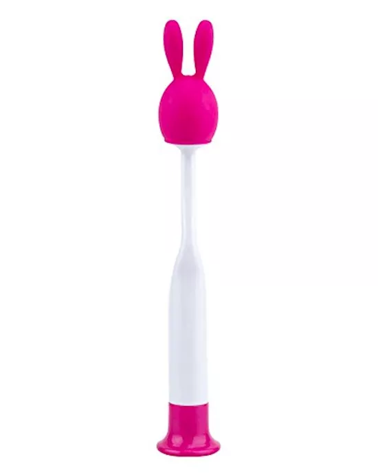 PoP Rabit