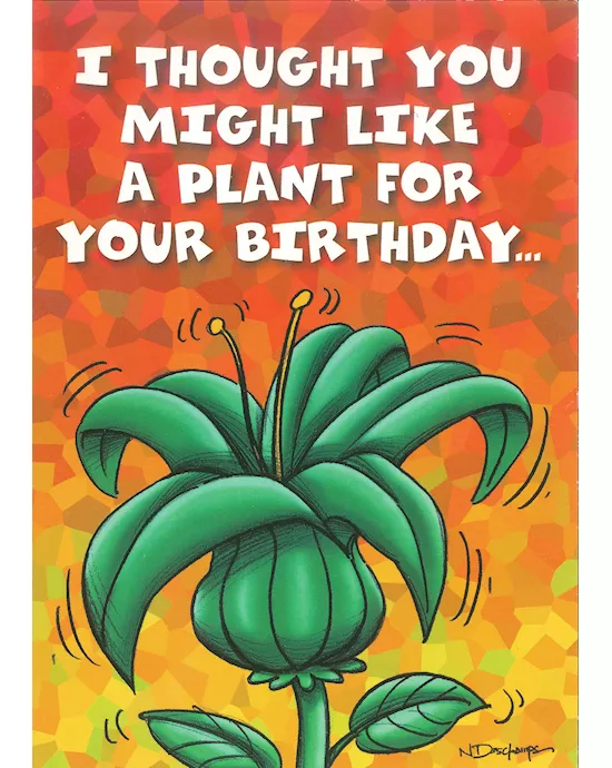 I THOUGHT YOU MIGHT LIKE