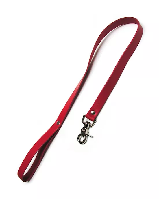 Leather Leash