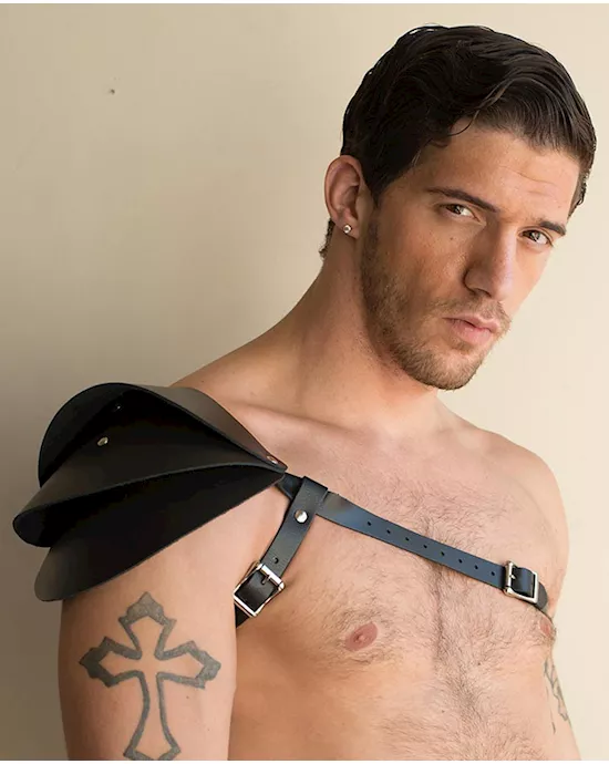 Apollo Harness
