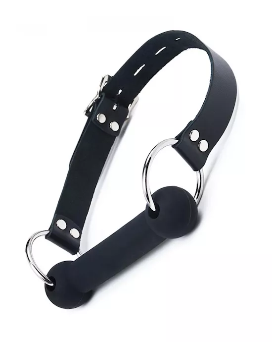 Silicone Bit Gag