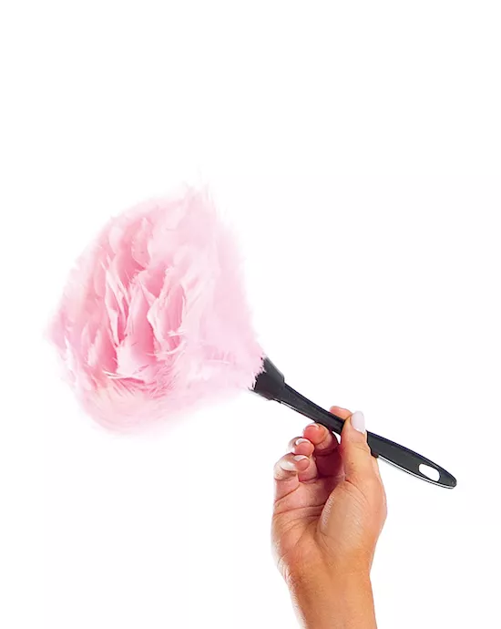 Feather Duster