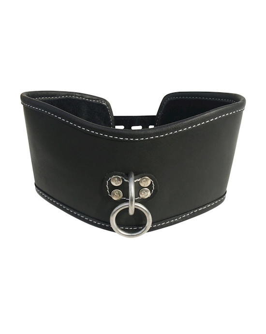 Edge Soft Leather Posture Collar