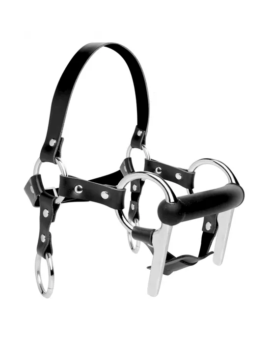 Steed Silicone Bit & Bridle Head Harness