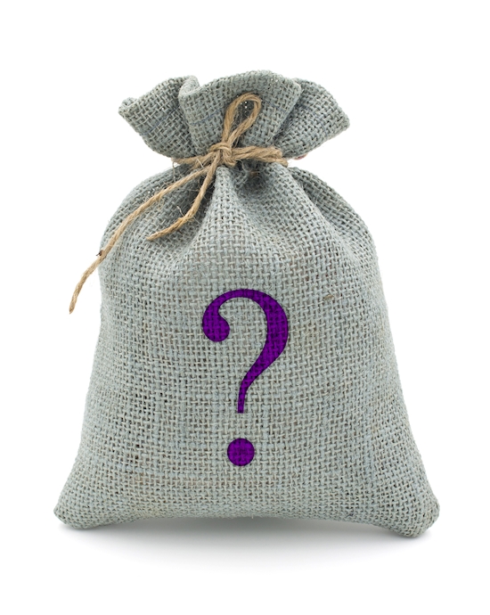 Mystery Bag - Vibrator