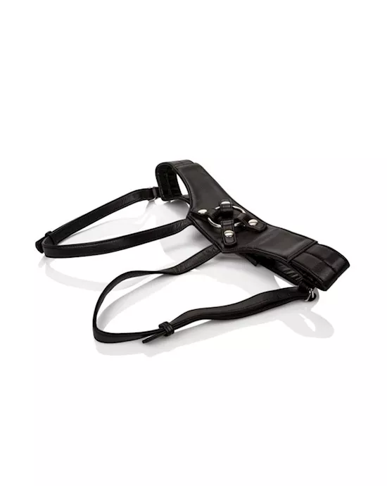 Her Royal Harness The Empress