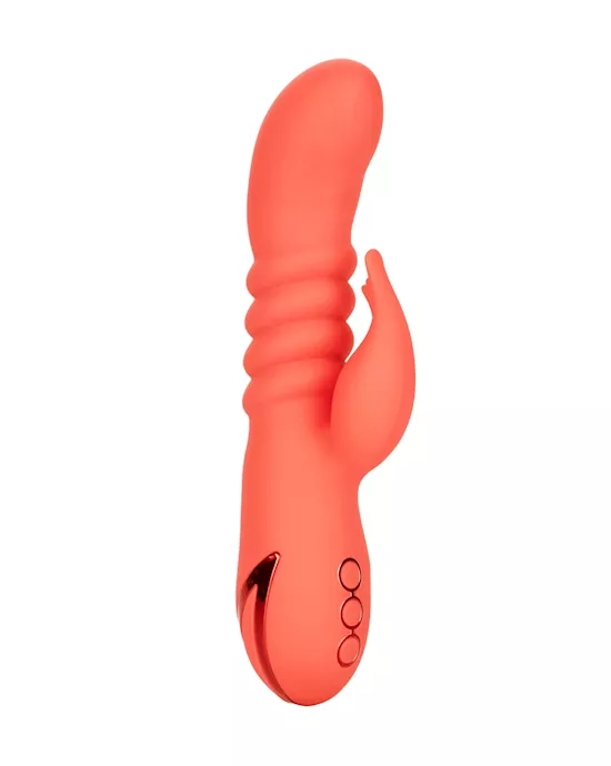 California Dreaming Orange County Cutie