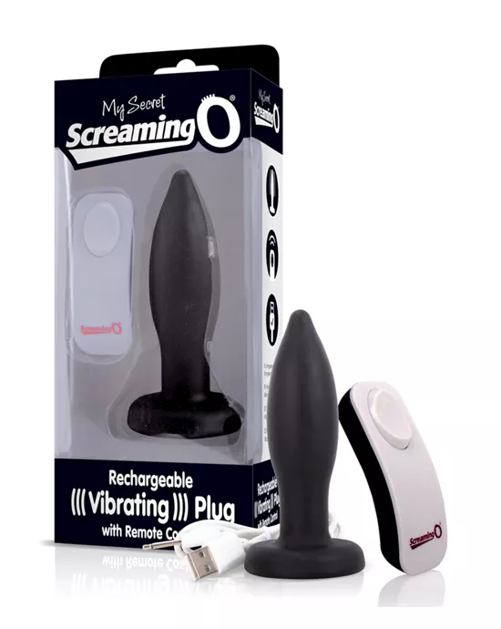 My Secret Remote Controlled Vibrating Plug