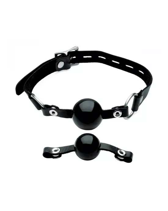 Interchangeable Silicone Ball Gag Set