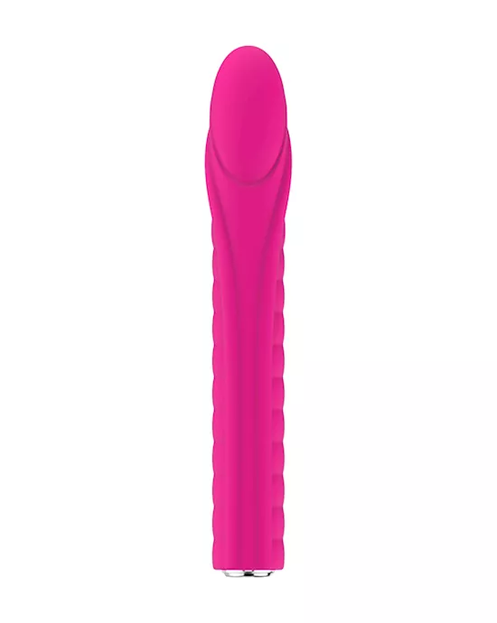 Dixie Vibrator
