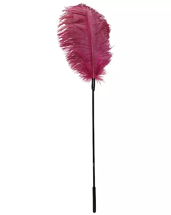 Pink Feather