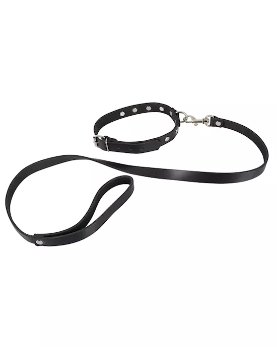 Leather Collar And Leash