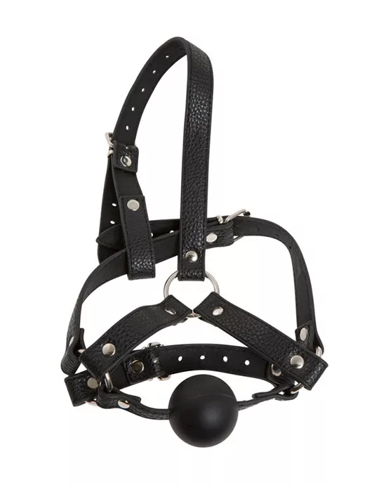 Bad Kitty Head Harness With Ball Gag
