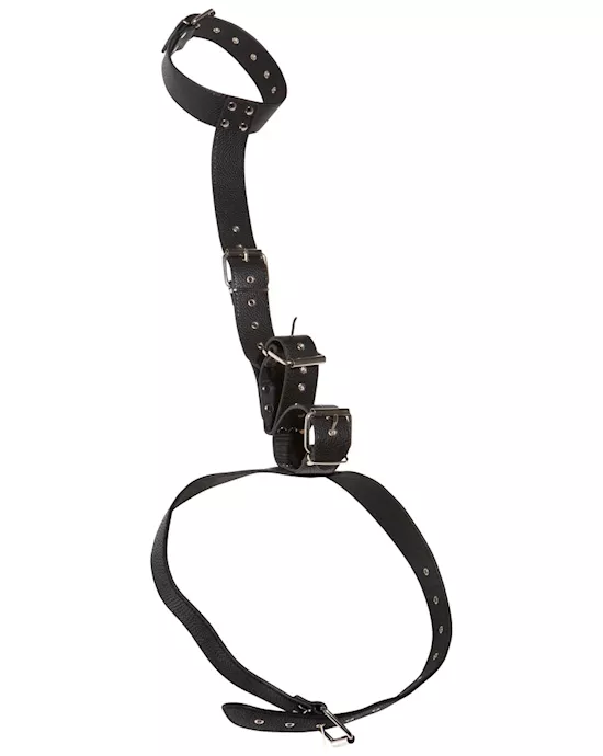 Neck And Hand Restraints