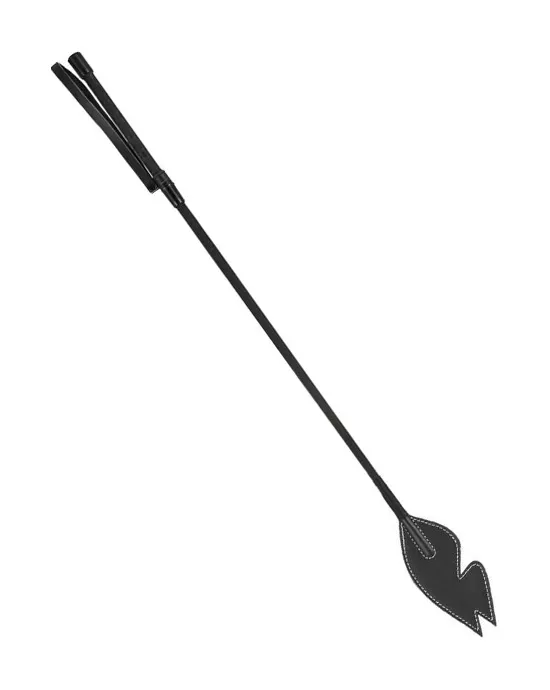 Bad Kitty Animalistic Desires Crop