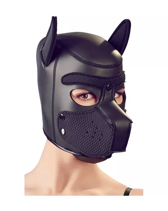 Bad Kitty Naughty Dog Mask