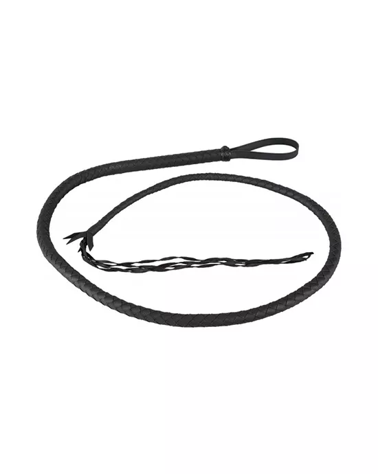 Fetish Collection Single Tail Whip