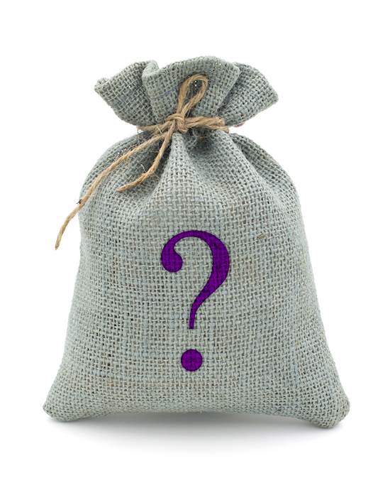 Mystery Bag - Rabbit Vibrator