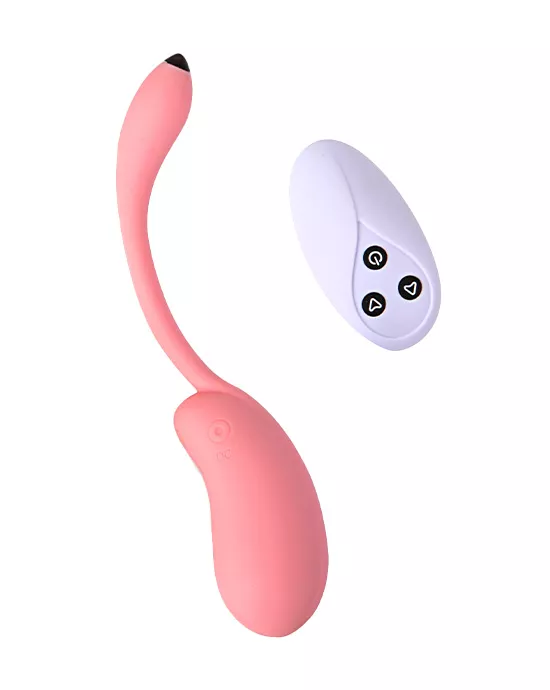 Remote Controlled Dolphin Love Egg