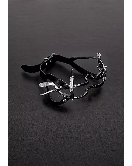 Whitehead Ratchet Mouth Gag