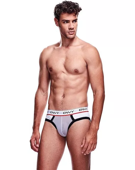 Envy Mesh Brief
