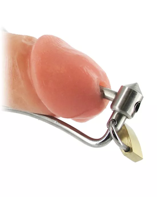 Locking Deep Throat Prince Albert Wand. 24718 - Adulttoymegastore
