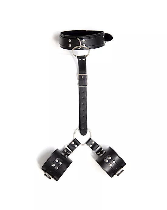 Premium Collar With Wrist Cuffs