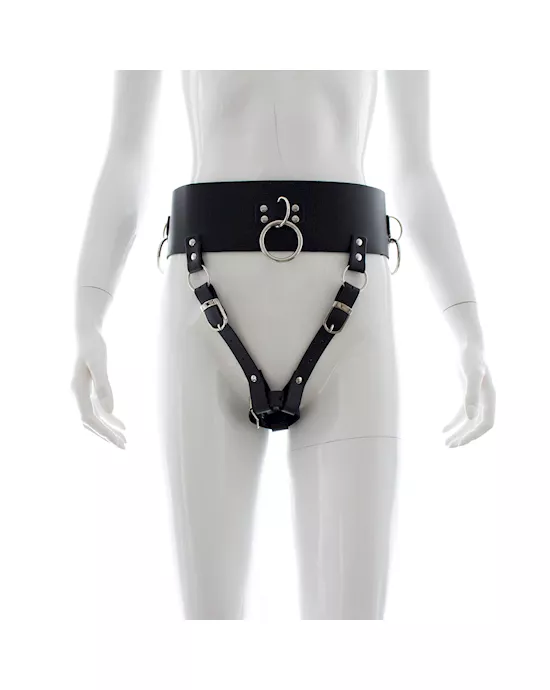 Bodywand Harness