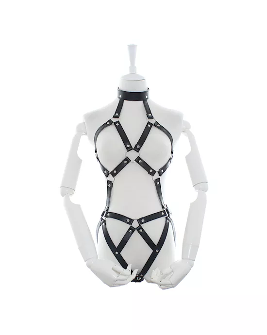 Desire Full Body Harness