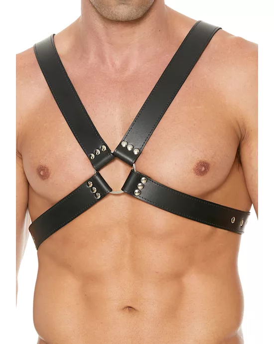 Men's 1.75 inch Large Buckle Harness