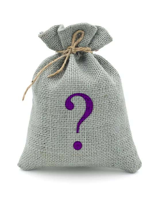 Mystery Bag - Sex Toys - Platinum