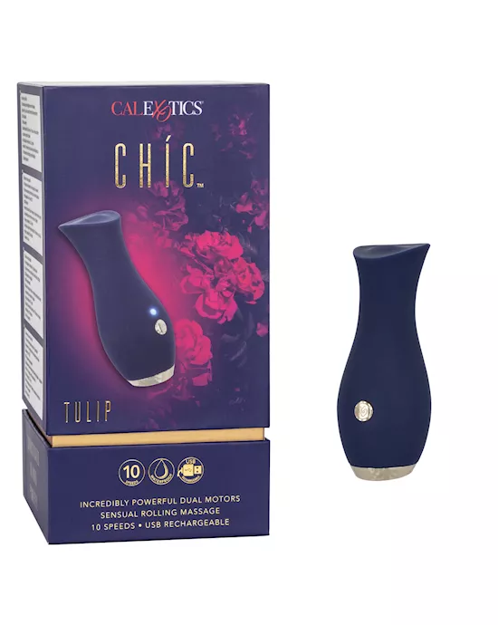 Chic Tulip