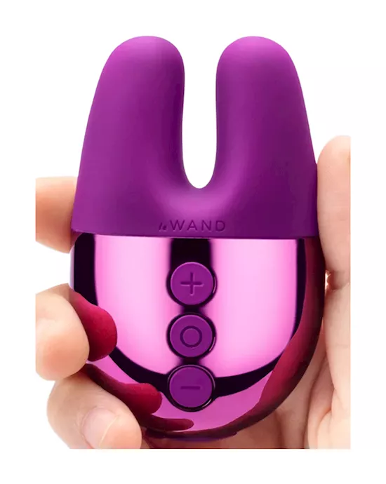 Le Wand Chrome Double Vibe